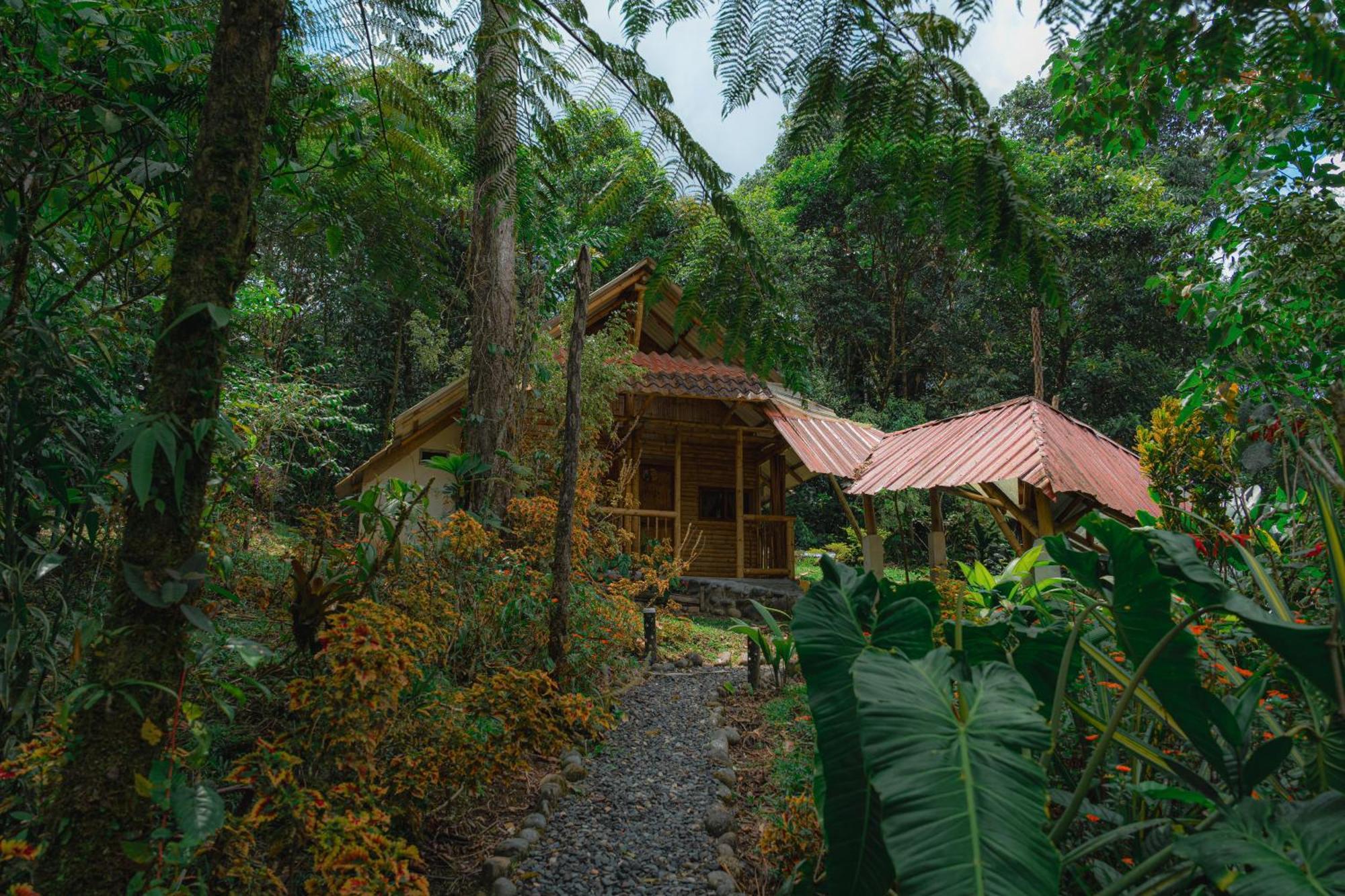 Finca Las Palmas Ecolodge Puyo Exterior foto